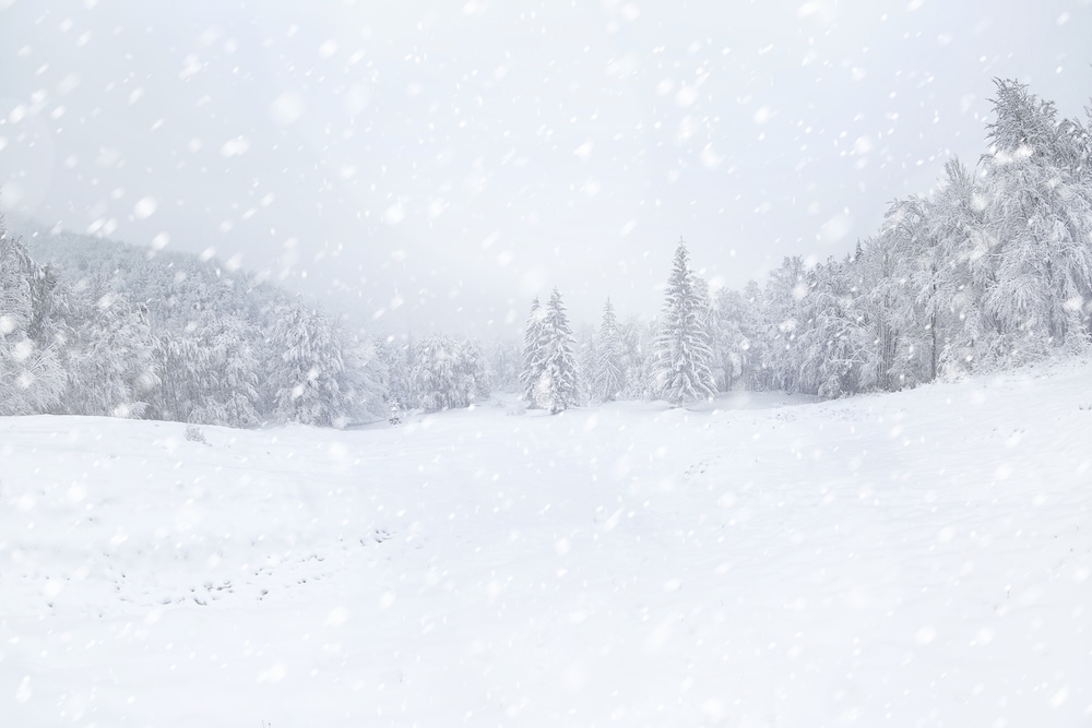 Snowstorm