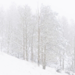 Snowstorm in Colorado