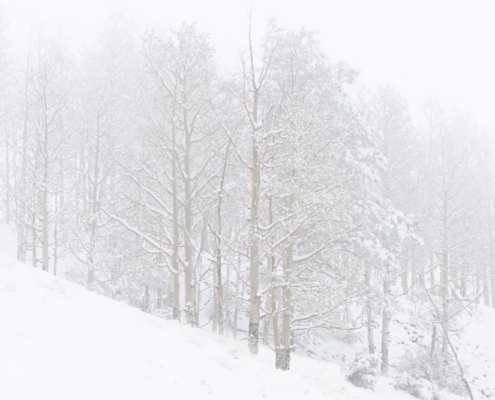 Tormenta de nieve en Colorado