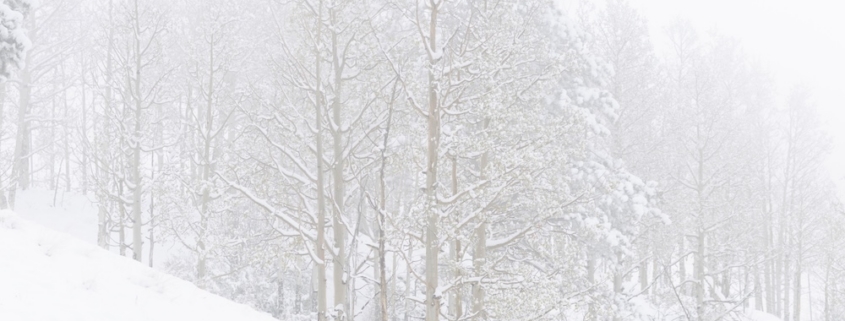 Snowstorm in Colorado