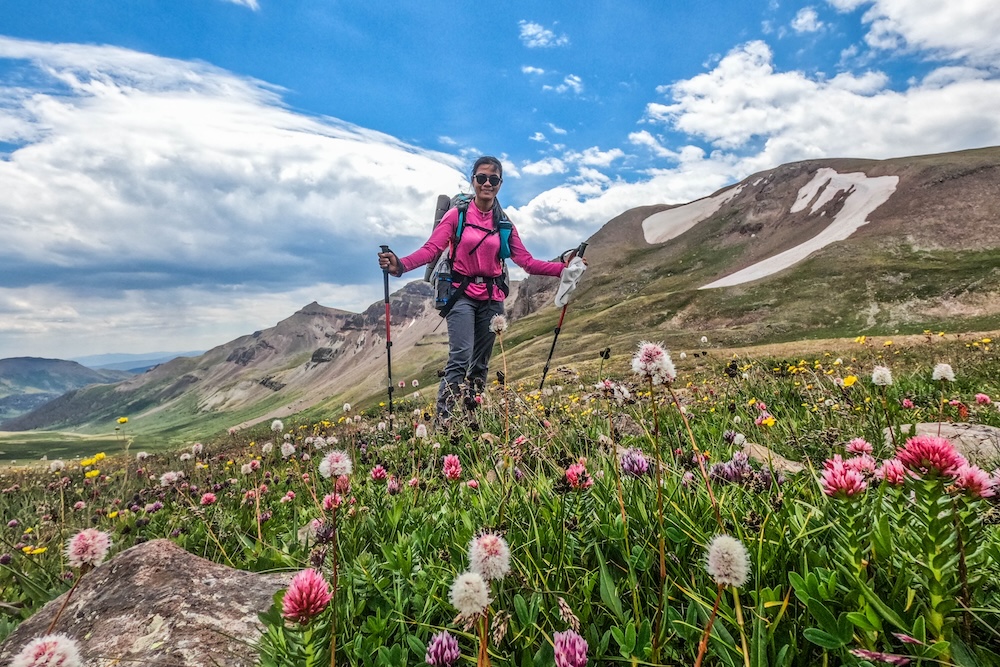 Hiker surrounded by Spitleaf paintbrush (Castilleja rhexiifoli) on Kokomo Pass, Colorado Trail, Breckenridge, Colorado