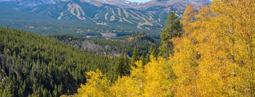 The mountains in Breckenridge covered in gold fall colors